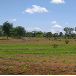 Farm Land