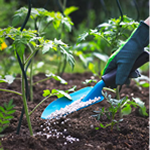 Fertilizer