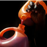 Palm Oil