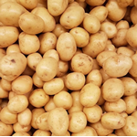 Potatoes Farm